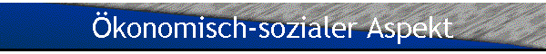 Oekonomisch-sozialer Aspekt